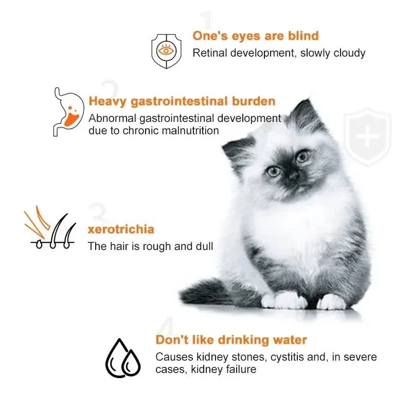 10個入り 猫用ストリップス ペットスナック 各種フレーバー - Snacks Food Labels のレビューと価格